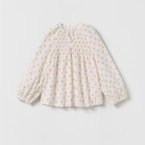 Zara Dotted Mesh Top